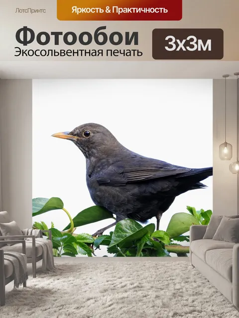 Фотообои Птицы