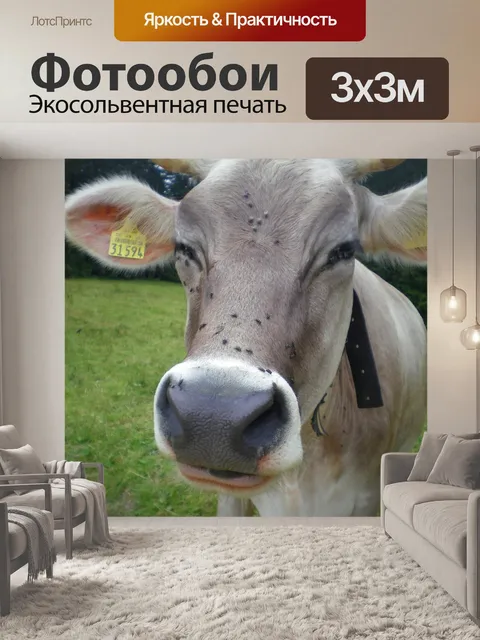 Фотообои Природа