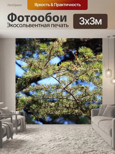 Фотообои хвойные веточки