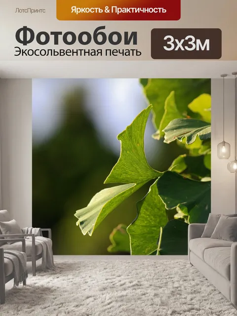 Фотообои солнечный свет на зеленом гинкго билоба