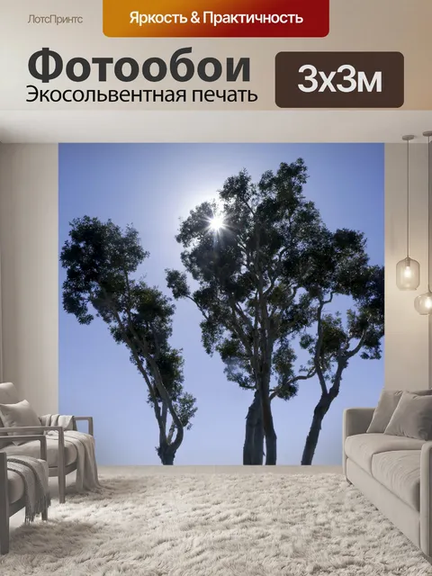 Фотообои Силуэты деревьев
