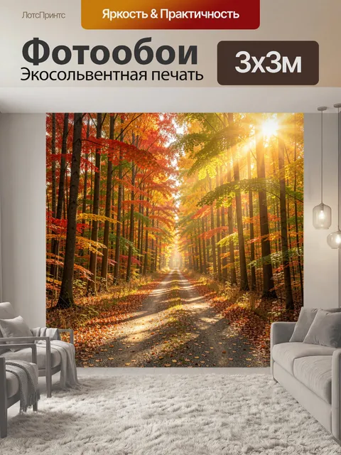 Фотообои Осенний лесной просек с солнцем