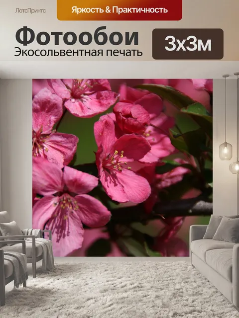 Фотообои Расцветает
