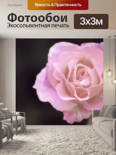 Фотообои Розы