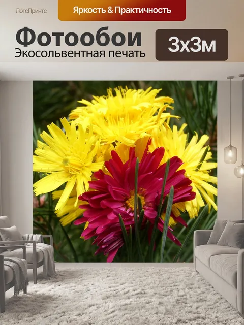Фотообои Цветы