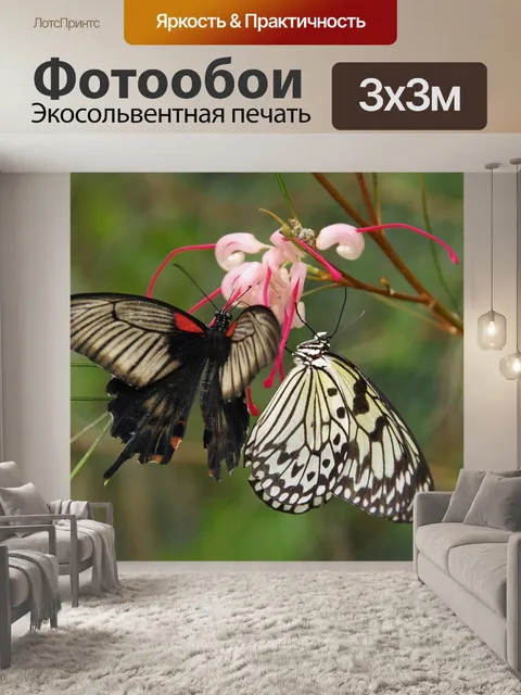Фотообои Бабочки