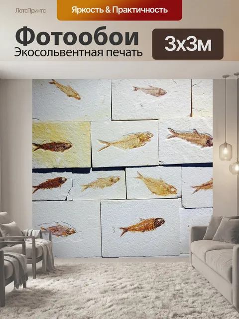 Фотообои Ископаемое