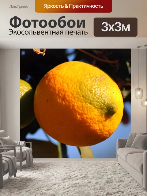 Фотообои текстурированная кожура при созревании л