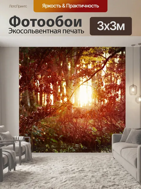 Фотообои Лес