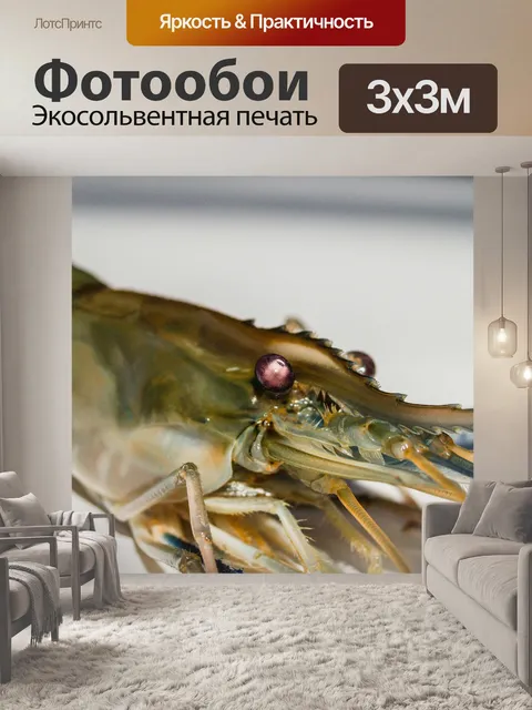 Фотообои Свежие приготовленные креветки фон мореп