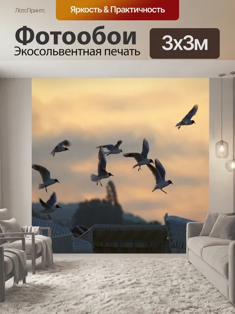 Фотообои Чайки