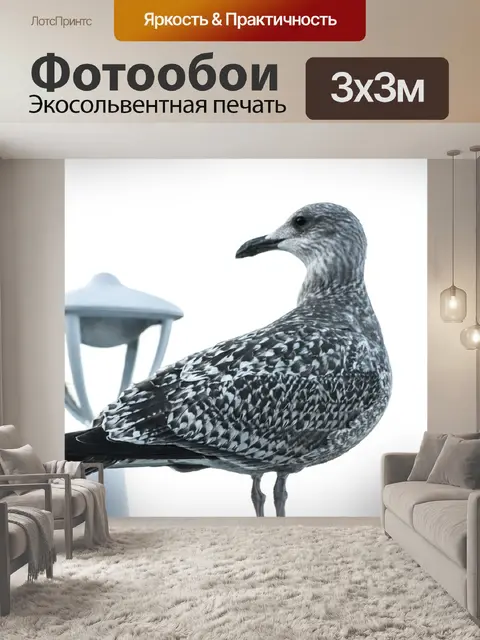 Фотообои Птица