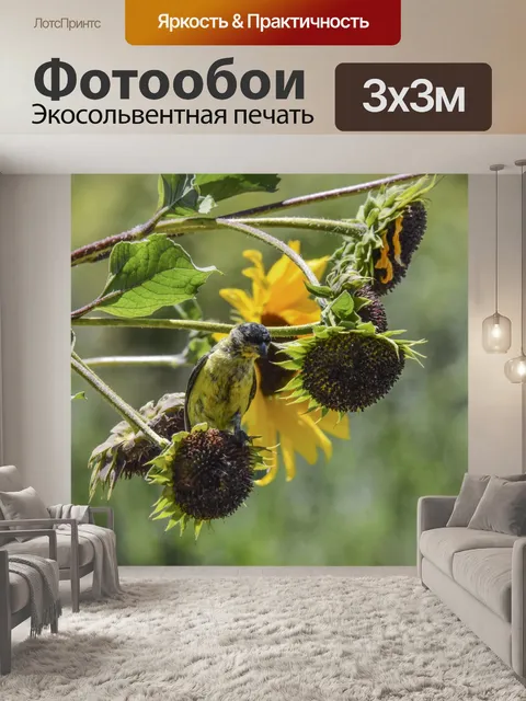 Фотообои Щегол и подсолнухи