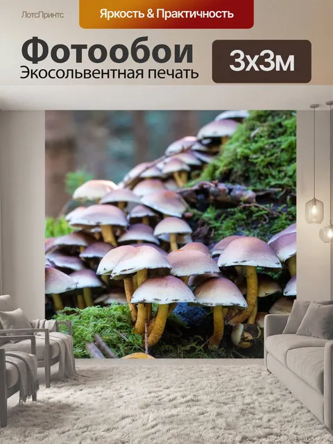 Фотообои Лес