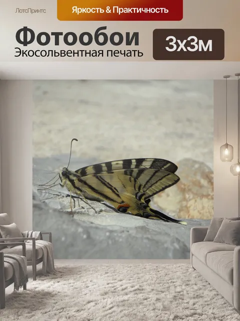 Фотообои Ласточкин хвост
