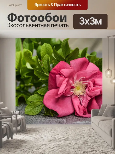 Фотообои Дикая роза на деревянном фоне