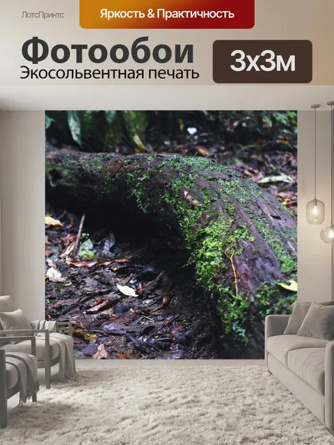 Фотообои Дерево