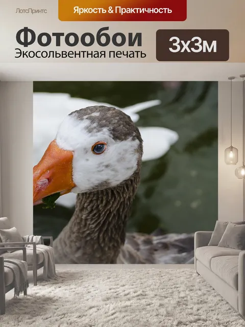 Фотообои Животное