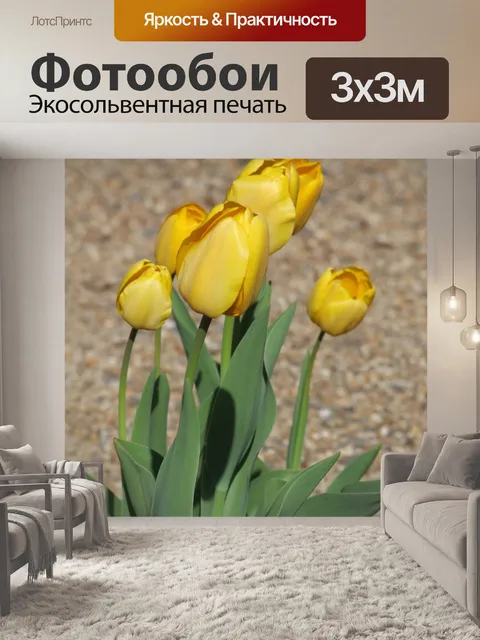 Фотообои Тюльпаны