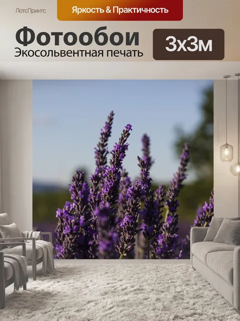 Фотообои Лаванда
