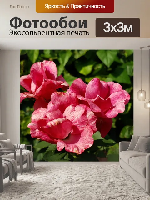 Фотообои Цветы