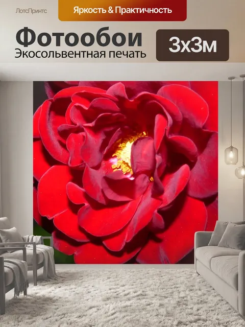 Фотообои Розы