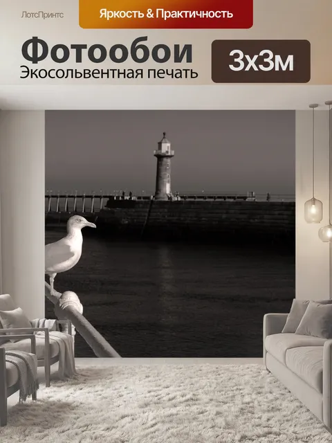 Фотообои Чайка