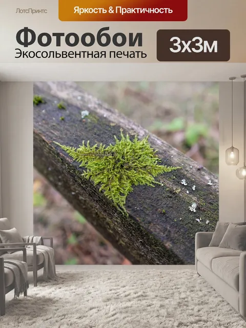 Фотообои Мох