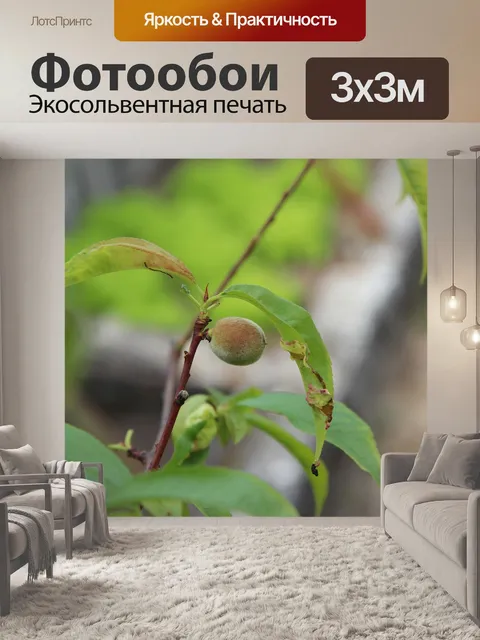 Фотообои Рыбалка