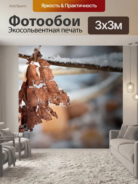 Фотообои Лист