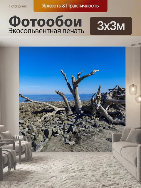 Фотообои коряги пляж