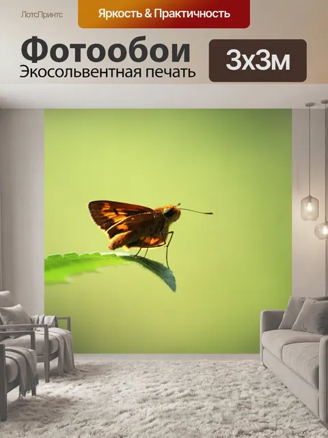 Фотообои Керала