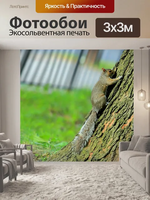 Фотообои Дерево