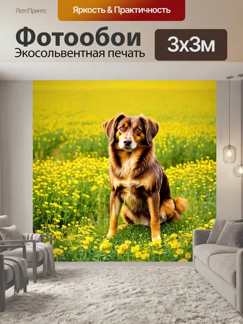 Фотообои пес с хорошей шерстью, позирующий на фоне цветущих полей