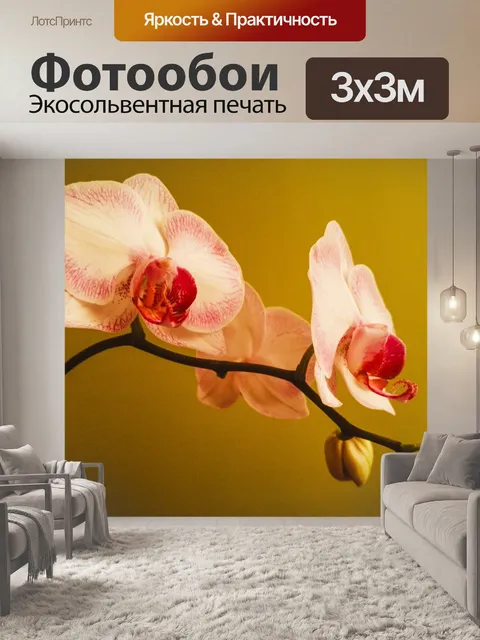 Фотообои Орхидея