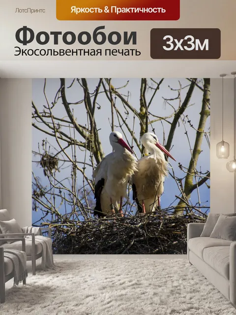 Фотообои Аист