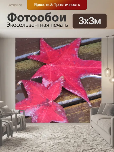 Фотообои Осенние листья