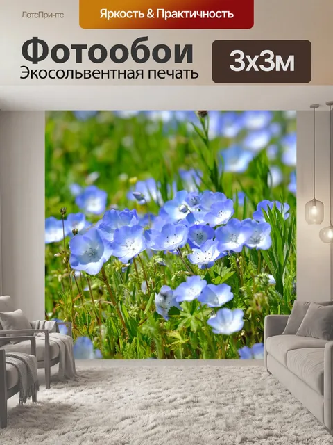 Фотообои Цветы