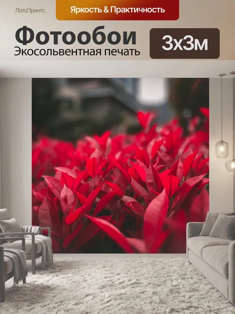 Фотообои Листья