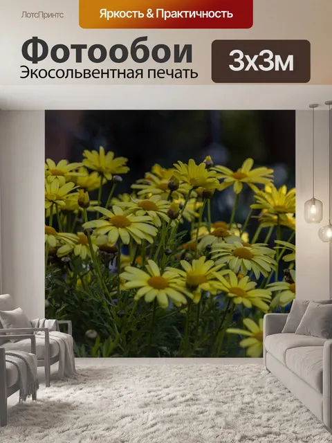 Фотообои Желтые ромашки