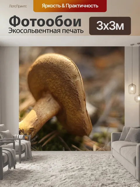 Фотообои Лес