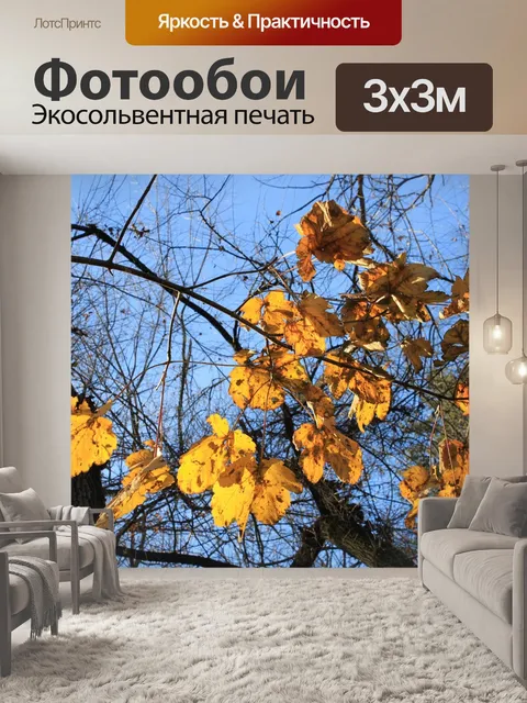 Фотообои Падение