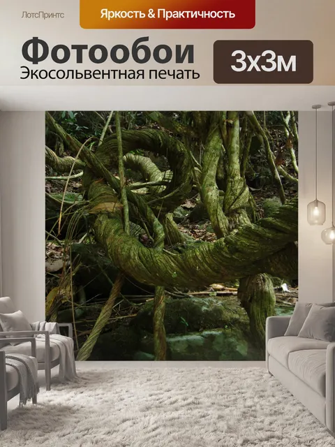 Фотообои Лес