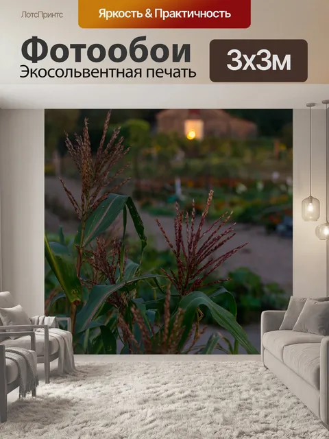 Фотообои Вечер
