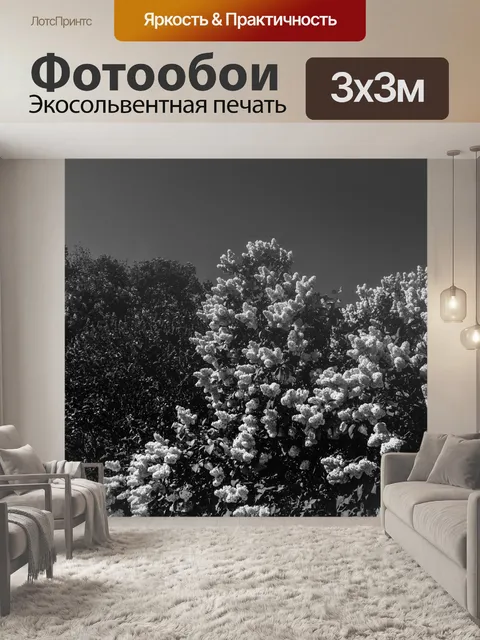 Фотообои Деревья