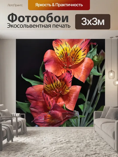Фотообои Цветы
