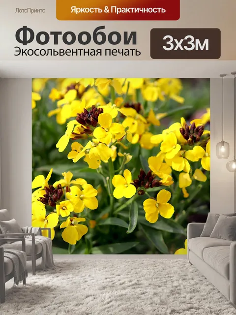 Фотообои Цветы