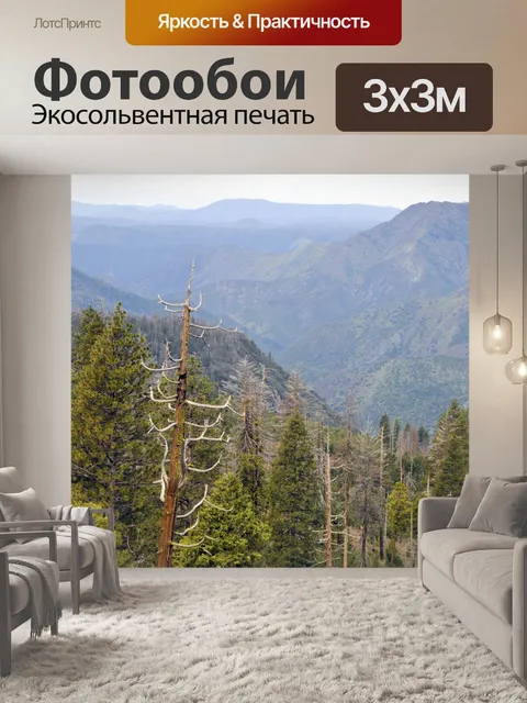 Фотообои Вид леса