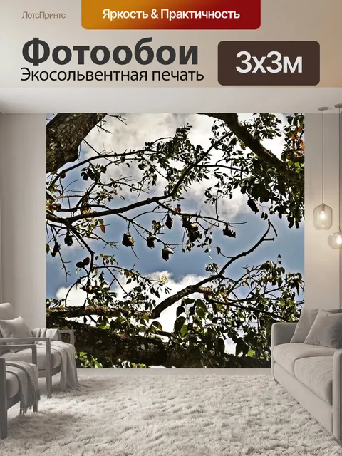 Фотообои Летучая мышь