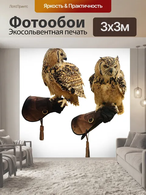 Фотообои Сова